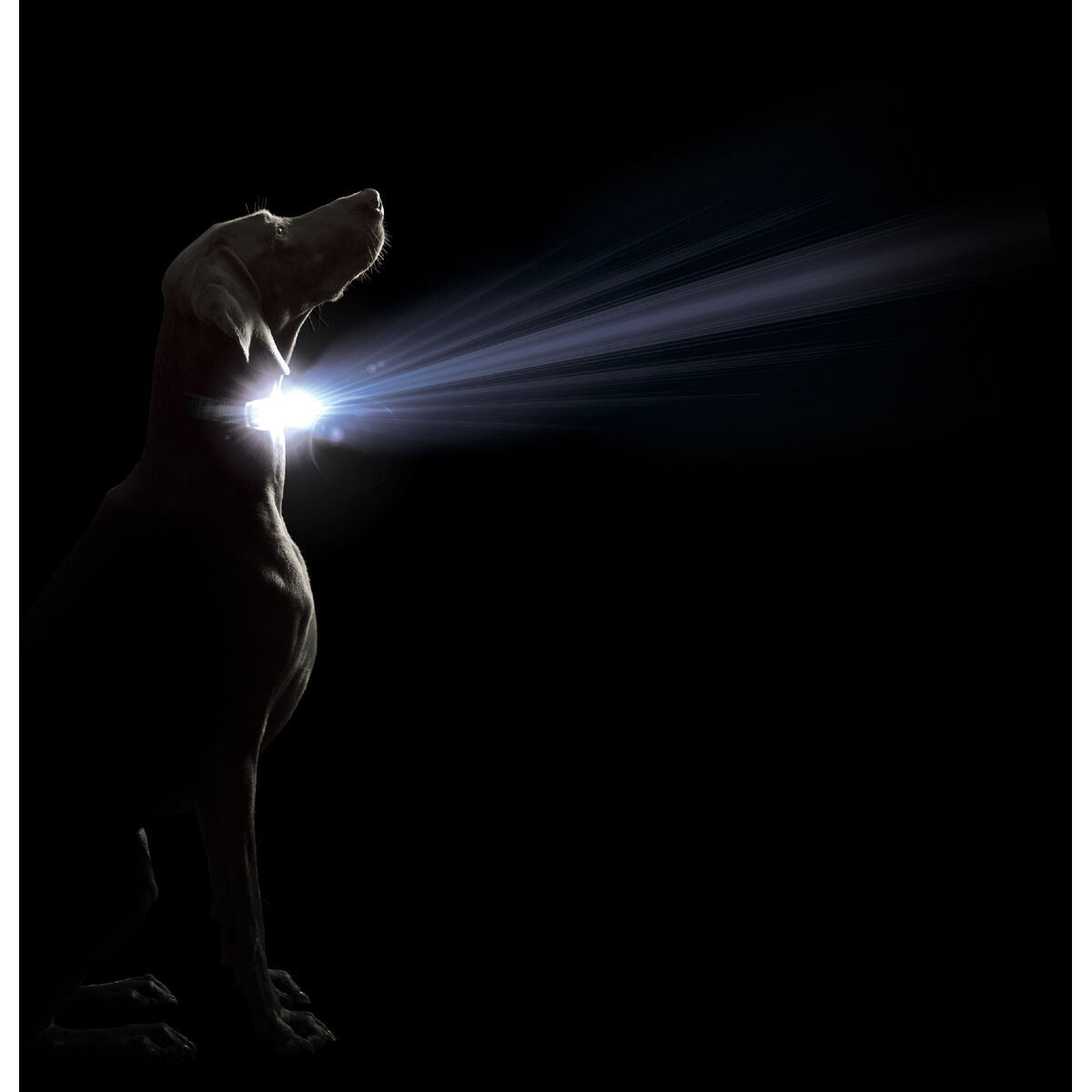 V5HFECEE5D2413F40A4A6092793FB891121R5554887P2