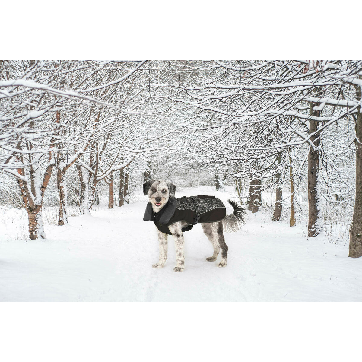 V6HED40D26DFC5BC0B9156C1A91B1EFBF27R5332490P8