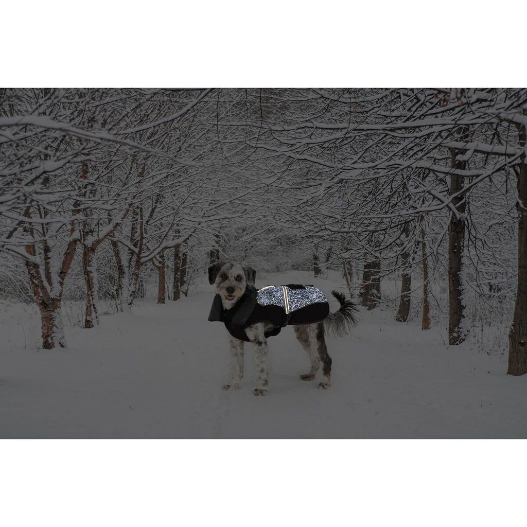 V6H466D8822CFE36BDA144DFD52B82CFE15R5332474P2