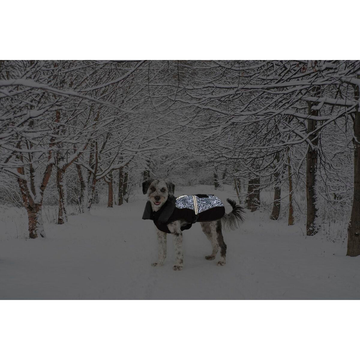 V6H466D8822CFE36BDA144DFD52B82CFE15R5332474P2