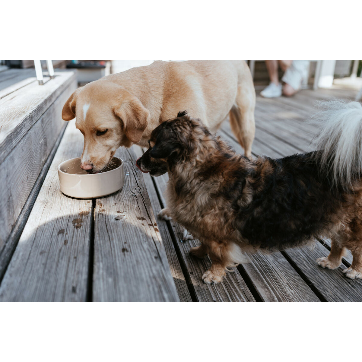 V5H7FACDC3E02F7EB60295741583A05D460R5587762P3