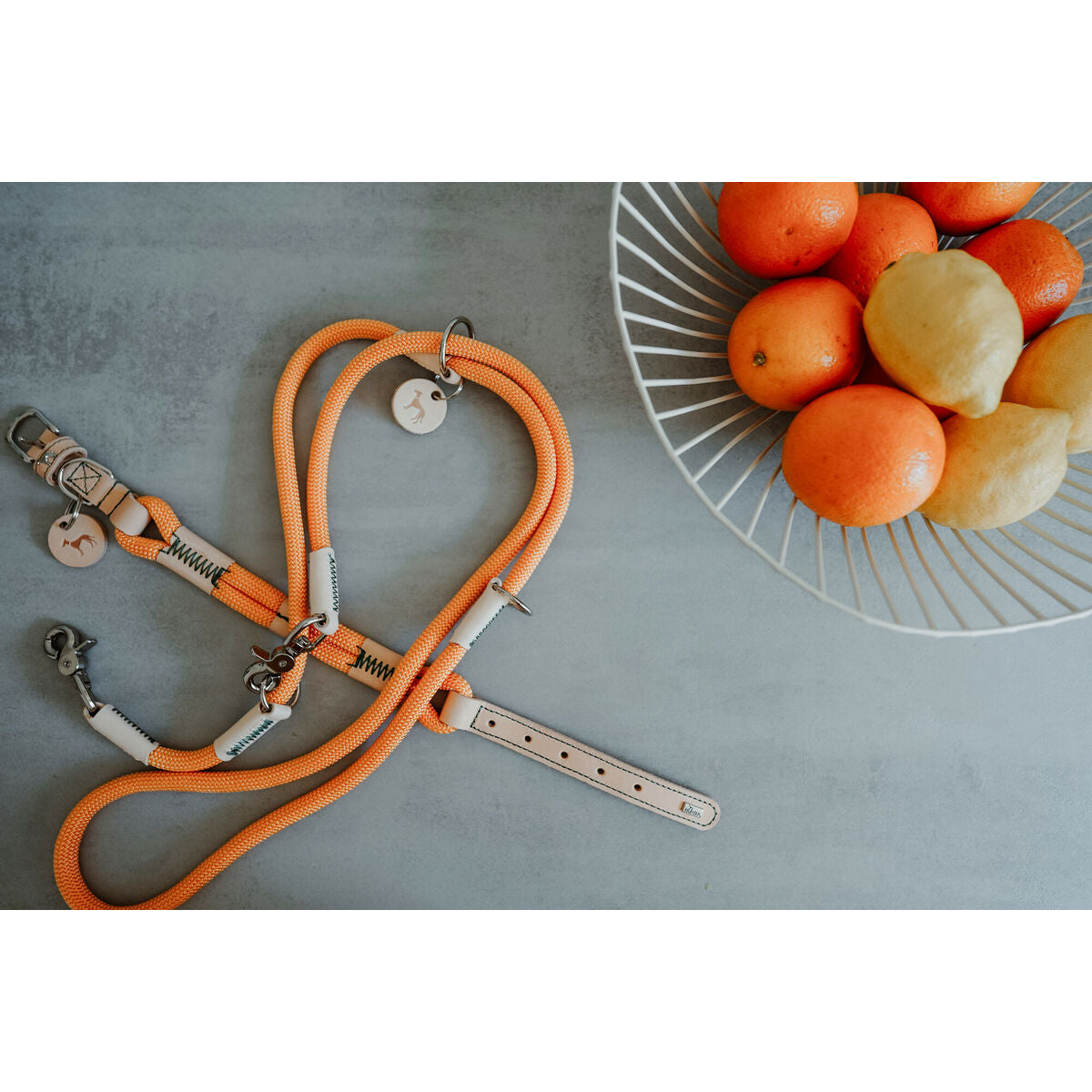 V5H39D350DE167CD09BC24D54A412D0CFB2R5575495P7